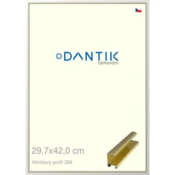Rám na obraz DANTIK rámeček 29,7x42 | ALU profil 7269 Zlatá lesklá (Plexi Čiré) (Vyrobeno s láskou u nás v DANTIKU)