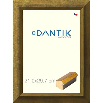 Rám na obraz DANTIK rámeček 21x29,7 | Forgia Gold (Sklo Čiré) (Vyrobeno s láskou u nás v DANTIKU)
