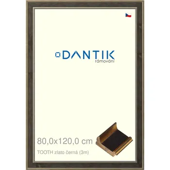 Rám na obraz DANTIK rámeček 80x120 | TOOTH zlato černá (Plexi Čiré) (Vyrobeno s láskou u nás v DANTIKU)