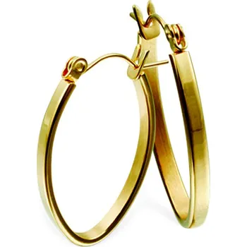 Náušnice Free Style Náušnice visací z chirurgické oceli ESH42GD