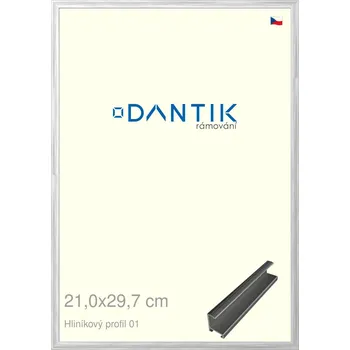 Rám na obraz DANTIK rámeček 21x29,7 | ALU profil 7001 Stříbrná lesklá (Sklo Čiré) (Vyrobeno s láskou u nás v DANTIKU)