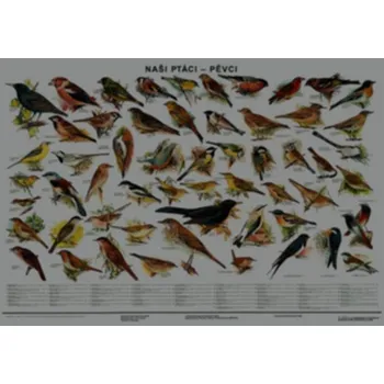 Bystrá hlava Plakát - Naši ptáci - pěvci