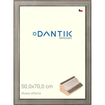 Rám na obraz DANTIK rámeček 50x70 | Museo stříbrná (Plexi Čiré) (Vyrobeno s láskou u nás v DANTIKU)