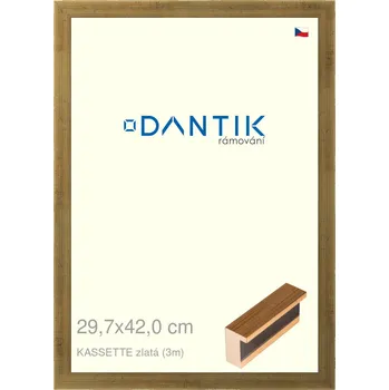 Rám na obraz DANTIK rámeček 29,7x42 | KASSETTE zlatá (Plexi Čiré) (Vyrobeno s láskou u nás v DANTIKU)