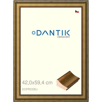Rám na obraz DANTIK rámeček 42x59,4 | Doprodej | METAL AU prohlá velká (Plexi Čiré) (Vyrobeno s láskou u nás v DANTIKU)