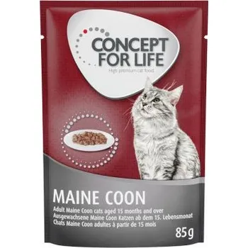 Krmivo pro kočku 24x85g Concept for Life Maine Coon Adult (kvalita ragú)