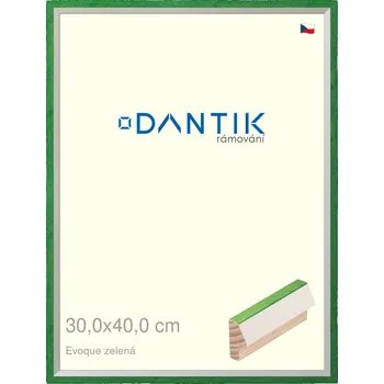 Rám na obraz DANTIK rámeček 30x40 | EVOQUE zelená (Plexi Čiré) (Vyrobeno s láskou u nás v DANTIKU)