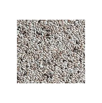 Krmivo pro ptáka Fauna Hradil Lesknice Hmotnost: 10 kg