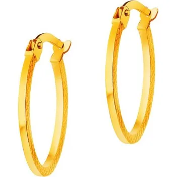 Náušnice Zlaté náušnice - AP533-1845