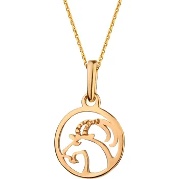 Náhrdelník Pozlacený stříbrný náhrdelník - Kozoroh - AP530-0719