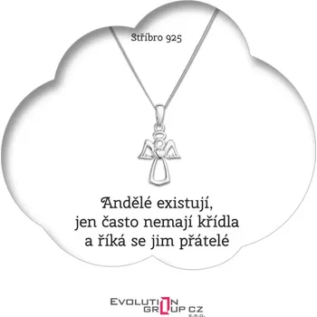 Náhrdelník Andělé existují, jen často nemají křídla a říká se jim přátelé - OB06.2
