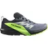 Pánská běžecká obuv Salomon Sense Ride 5 GTX M L47312800, 46