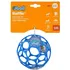 Oball Rattle