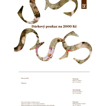 Dárkový potravinový koš Elektronický dárkový poukaz na 2000 Kč