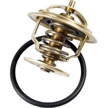 Těsnění motoru Termostat, chladivo BorgWarner (Wahler) 4253.87D