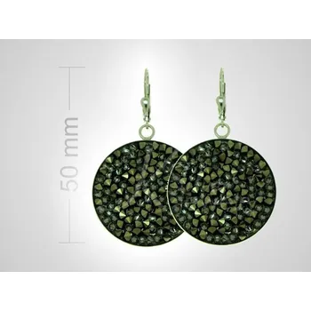 Náušnice Argento 63870 Stříbrné náušnice kruhy