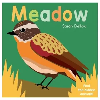 První čtění Now you See It! Meadow - Dellow, Sarah