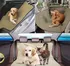Ochranný autopotah Pet Zoom Loungee deka do auta 145 x 145 cm