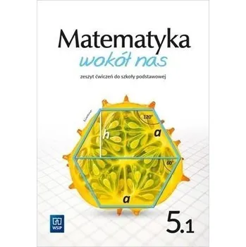 Přírodní věda Matematyka Wokół nas SP 5/1 ćw. WSIP - Lewicka Helena, Lewicka Joanna