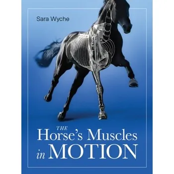 Horse's Muscles in Motion - Wyche, Sara