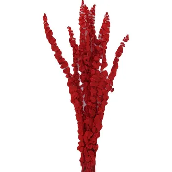 umělá květina Eucalyptus baby stabilizovaný bělený + červený, 10 ks