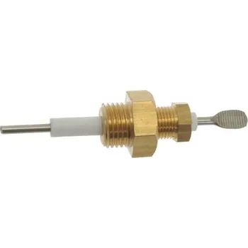 Náhradní díl pro kávovar Nuova Simonelli Lever probe ø 1/4"M-70 mm 09000006