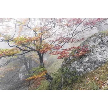 Fototapeta Fototapeta vliesová SH031-VD3 Euphoria 3-dílná 300x200 cm