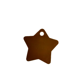 Vojenské psí známky DCH Kovová psí známka - hvězdička Barva: Oranžová