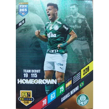 Sběratelská karetní hra Gabriel Menino