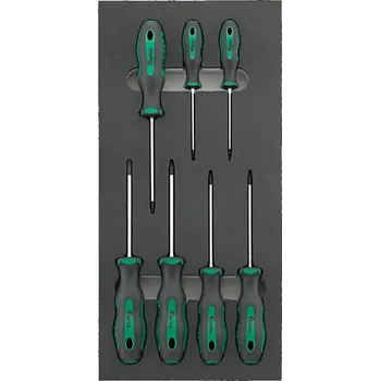 Šroubovák Modul pro nástr.1/3 práz. Šroubovák Torx FORTIS