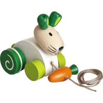 Detoa Zajíc s mrkví