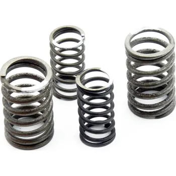 Motor pro motocykl sada pružin ventilů pro motor ZS125 oil cooled