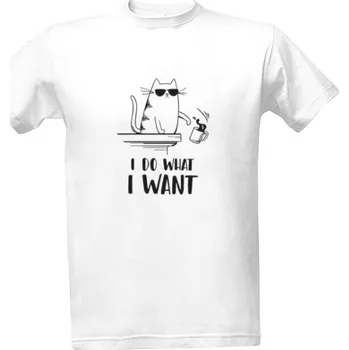 Tričko s potiskem I do what I want kocka vtipne triko pánské
