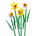 Stavebnice LEGO LEGO Icons 40747 Narcisy
