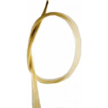 Petz SBS82, Žíně na smyčec