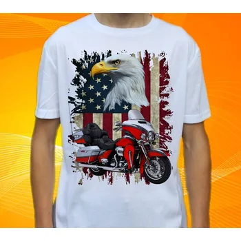 Pánské tričko tričko Harley Davidson XII 128 (tričko s motorkou )