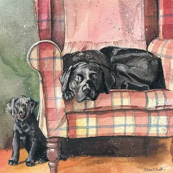 Přání v obálce Sophie and Scarlet, Pejsci od Alex Clark 14*14 cm (Přání s pejskem, pes, Labrador)
