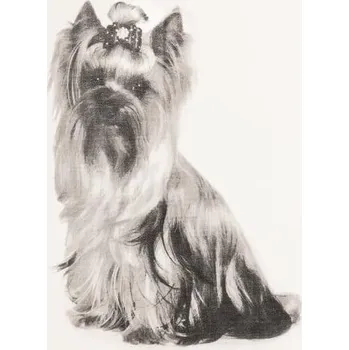 Utěrka Bavlněná utěrka 70x50 cm Farm - Tiseco Home Studio ID_1521990