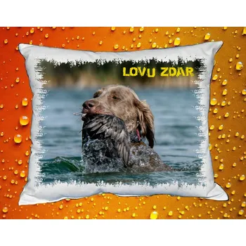 Dekorativní polštářek Polštářek pro myslivce č. 81 (MYSLIVECKÝ POLŠTÁŘ)