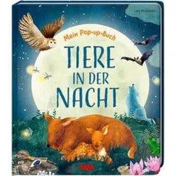 Příroda Mein Pop-up-Buch - Tiere in der Nacht - Davies, Becky
