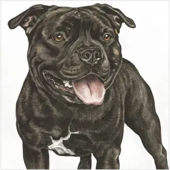 WaggyDogz Přání 01070 - 16x16cm - Staffordshire Bull Terrier