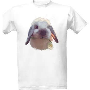 Tričko s potiskem králík a bledule pánské