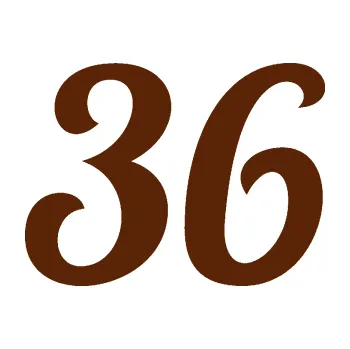 Polep vozidla Startovní číslo 36 typ 3 (15 - hnědá) SAMOLEPKA NA AUTO, NÁLEPKA, FÓLIE, POLEP, TUNING, VLASTNÍ TEXT, TISK, AUTOSAMOLEPKY.cz, POLEPY, OBRÁZEK, LOGO, 3D STICKERS