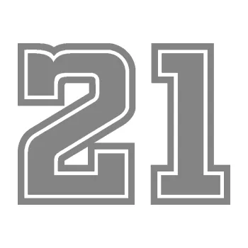 Polep vozidla Startovní číslo 21 typ 5 (17 - šedá) SAMOLEPKA NA AUTO, NÁLEPKA, FÓLIE, POLEP, TUNING, VLASTNÍ TEXT, TISK, AUTOSAMOLEPKY.cz, POLEPY, OBRÁZEK, LOGO, 3D STICKERS