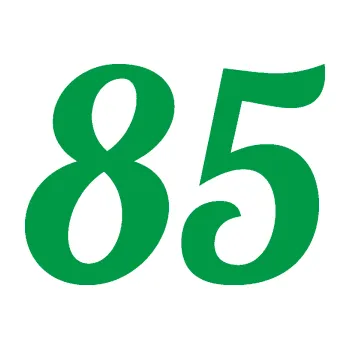 Polep vozidla Startovní číslo 85 typ 3 (12 - zelená) SAMOLEPKA NA AUTO, NÁLEPKA, FÓLIE, POLEP, TUNING, VLASTNÍ TEXT, TISK, AUTOSAMOLEPKY.cz, POLEPY, OBRÁZEK, LOGO, 3D STICKERS