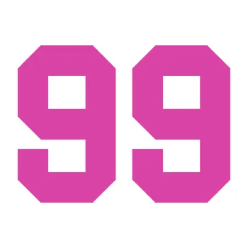 Polep vozidla Startovní číslo 99 (16 - růžová) SAMOLEPKA NA AUTO, NÁLEPKA, FÓLIE, POLEP, TUNING, VLASTNÍ TEXT, TISK, AUTOSAMOLEPKY.cz, POLEPY, OBRÁZEK, LOGO, 3D STICKERS