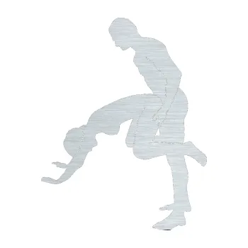 Polep vozidla Sexy siluety 014 (61 - škrábaný hliník) SAMOLEPKA NA AUTO, NÁLEPKA, FÓLIE, POLEP, TUNING, VLASTNÍ TEXT, TISK, AUTOSAMOLEPKY.cz, POLEPY, OBRÁZEK, LOGO, 3D STICKERS