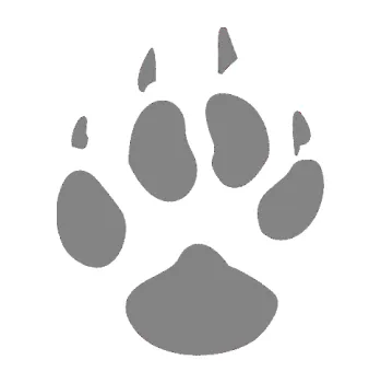 Samolepící dekorace SAMOLEPKA Tlapka 002 levá (17 - šedá) NA AUTO, NÁLEPKA, FÓLIE, POLEP, TUNING, VLASTNÍ TEXT, TISK, AUTOSAMOLEPKY.cz, POLEPY, OBRÁZEK, LOGO, SAMOLEPKY