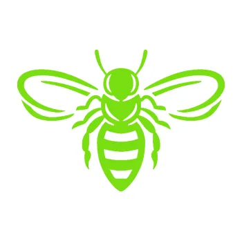 Samolepící dekorace Včela 002 (04 - zelená kawasaki) SAMOLEPKA NA AUTO, NÁLEPKA, FÓLIE, POLEP, TUNING, VLASTNÍ TEXT, TISK, AUTOSAMOLEPKY.cz, POLEPY, OBRÁZEK, LOGO, 3D STICKERS