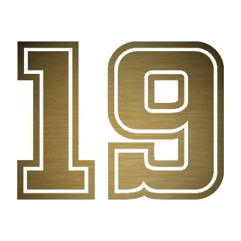 Polep vozidla Startovní číslo 19 typ 5 (64 - škrábaný kov zlatý) SAMOLEPKA NA AUTO, NÁLEPKA, FÓLIE, POLEP, TUNING, VLASTNÍ TEXT, TISK, AUTOSAMOLEPKY.cz, POLEPY, OBRÁZEK, LOGO, 3D STICKERS